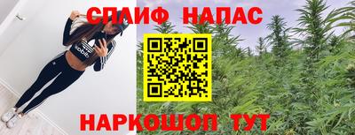 индика Заводоуковск