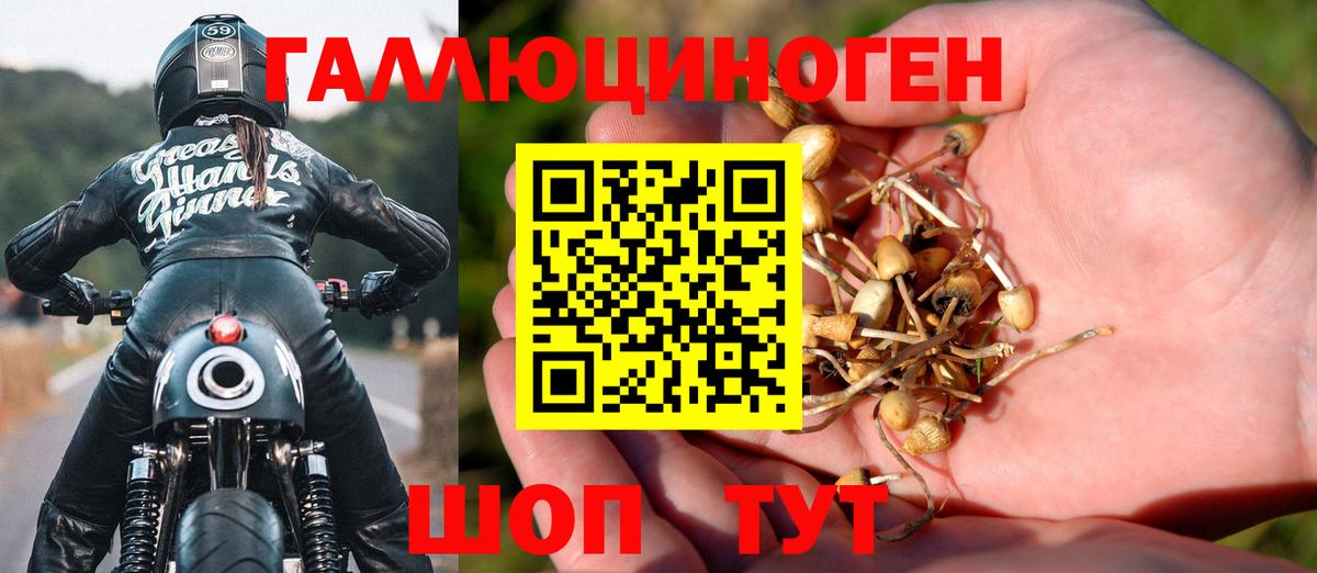 Мурино  купить наркотик  Вход с VPN  Галлюциногенные грибы прущие грибы  Галлюциногенные грибы Psilocybe 