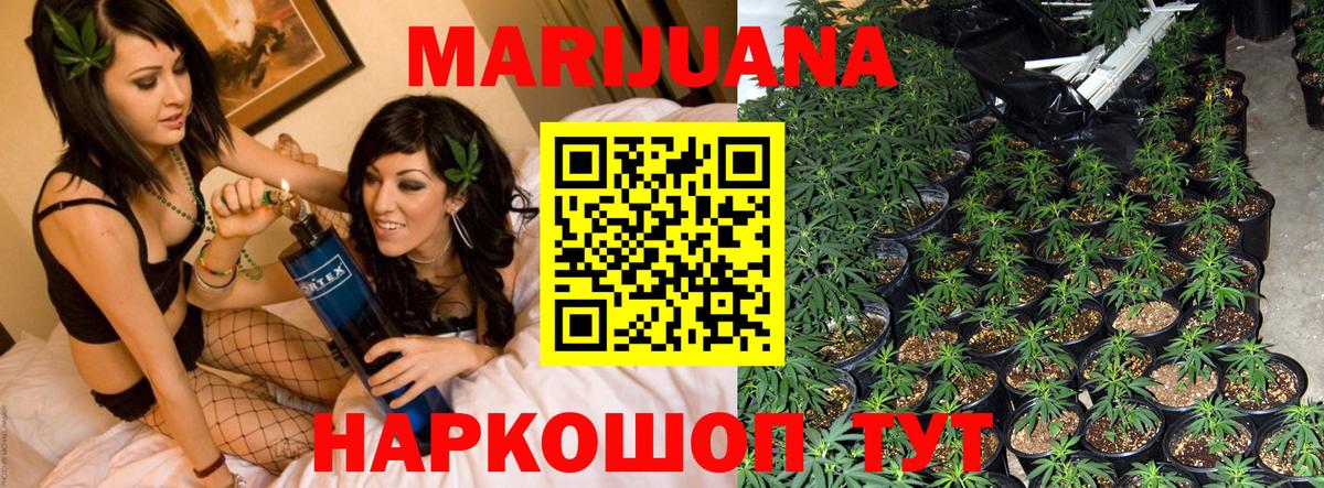 Бошки Шишки планчик  Бошки Шишки AK-47  Вход с VPN  Конопля MAZAR  Мурино 